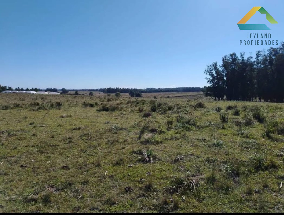 Chacra ID.79 - SE VENDE  CHACRA DE 5H A PASOS DE SAN CARLOS