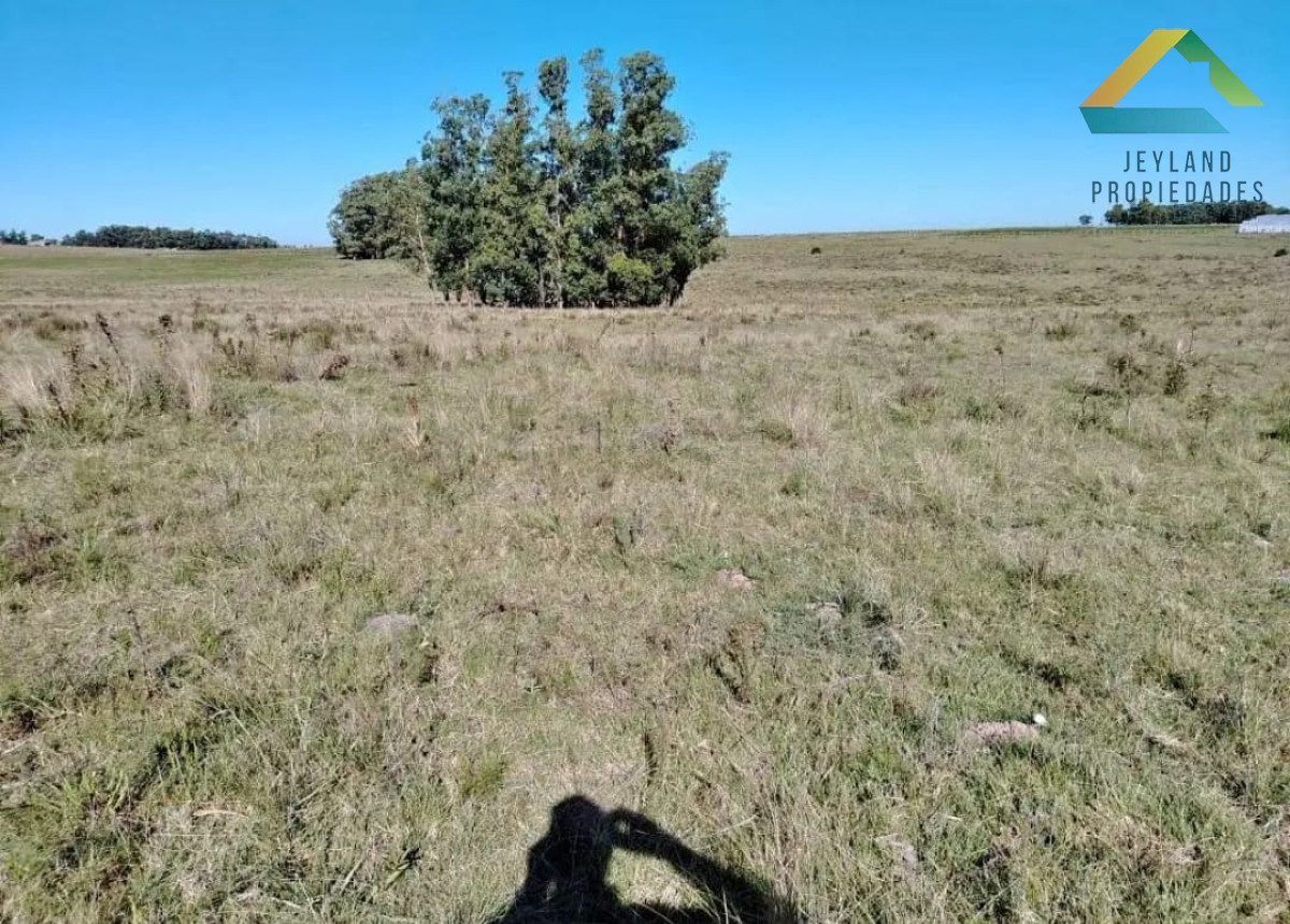 Chacra ID.79 - SE VENDE  CHACRA DE 5H A PASOS DE SAN CARLOS