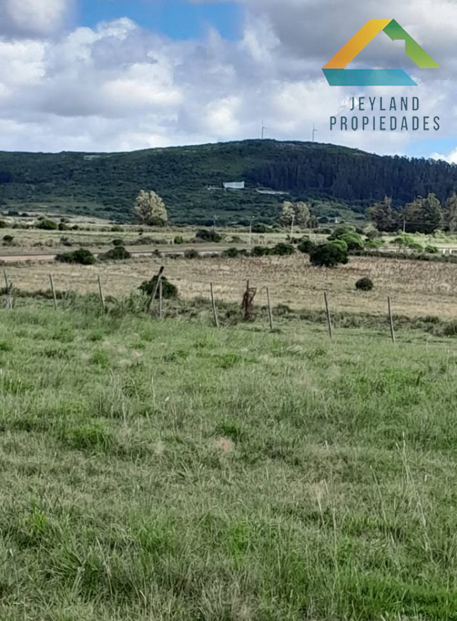 Chacra ID.83 - SE VENDE CHACRA  9 HECTAREAS PROXIMO A PUEBLO EDEN 