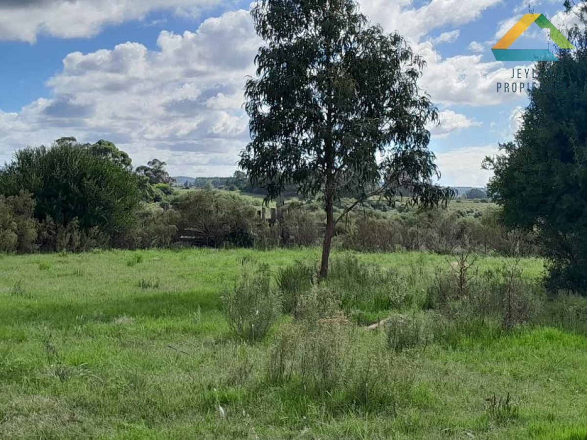 Chacra ID.83 - SE VENDE CHACRA  9 HECTAREAS PROXIMO A PUEBLO EDEN 