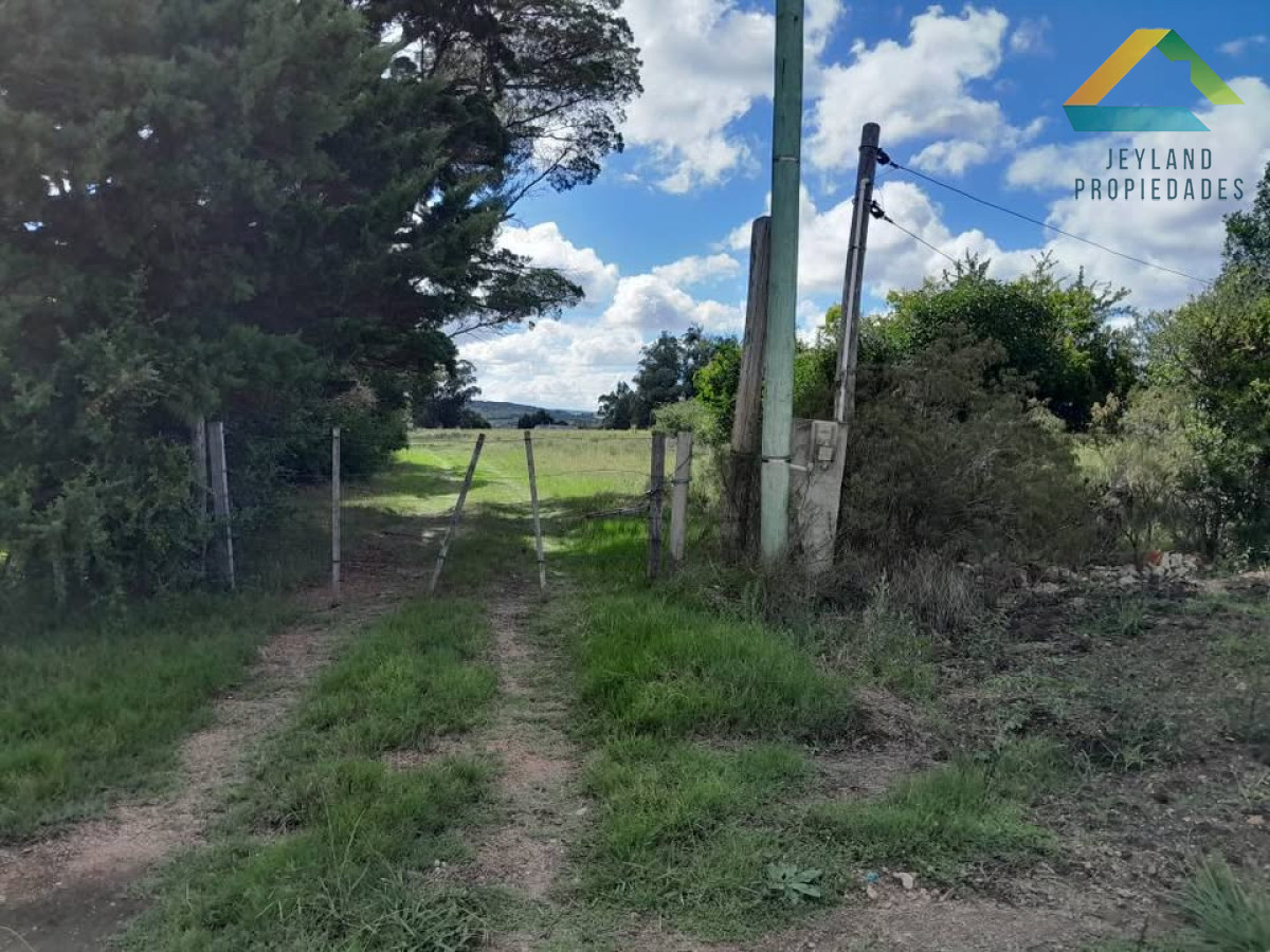 Chacra ID.83 - SE VENDE CHACRA  9 HECTAREAS PROXIMO A PUEBLO EDEN 