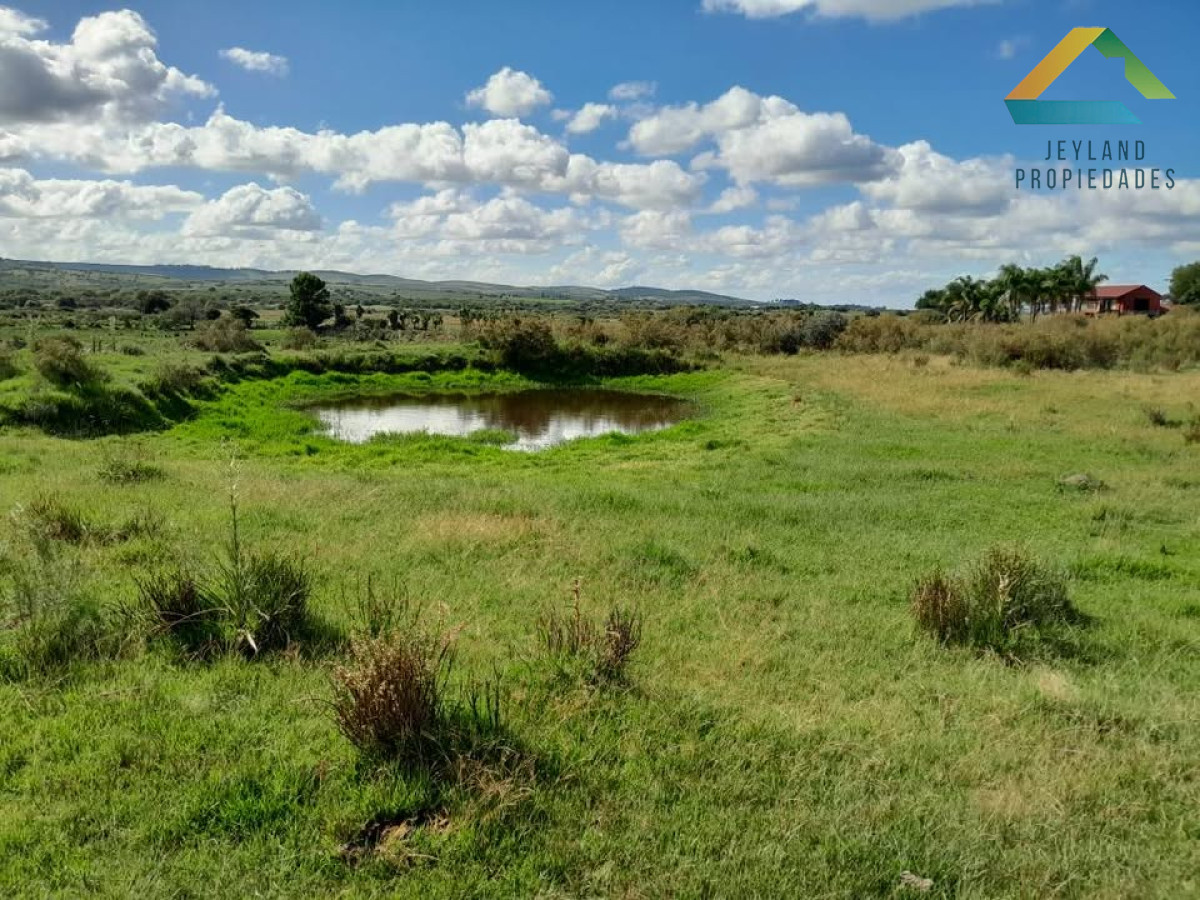 Chacra ID.83 - SE VENDE CHACRA  9 HECTAREAS PROXIMO A PUEBLO EDEN 