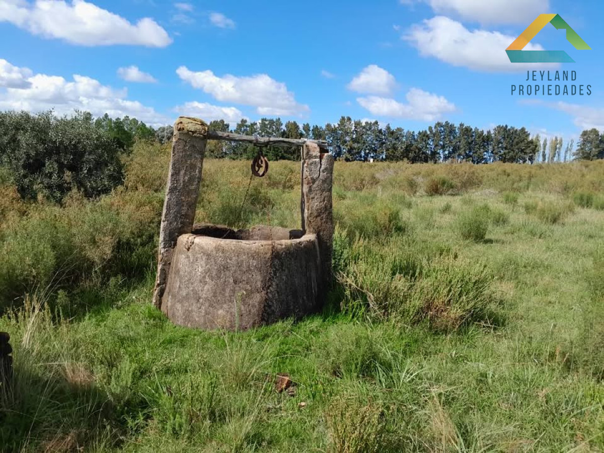 Chacra ID.83 - SE VENDE CHACRA  9 HECTAREAS PROXIMO A PUEBLO EDEN 