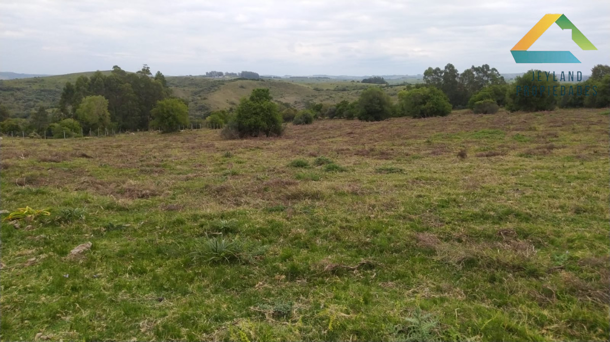 Chacra ID.290 - SE VENDE CHACRA DE 6 HECTAREAS EN PUEBLO EDEN 