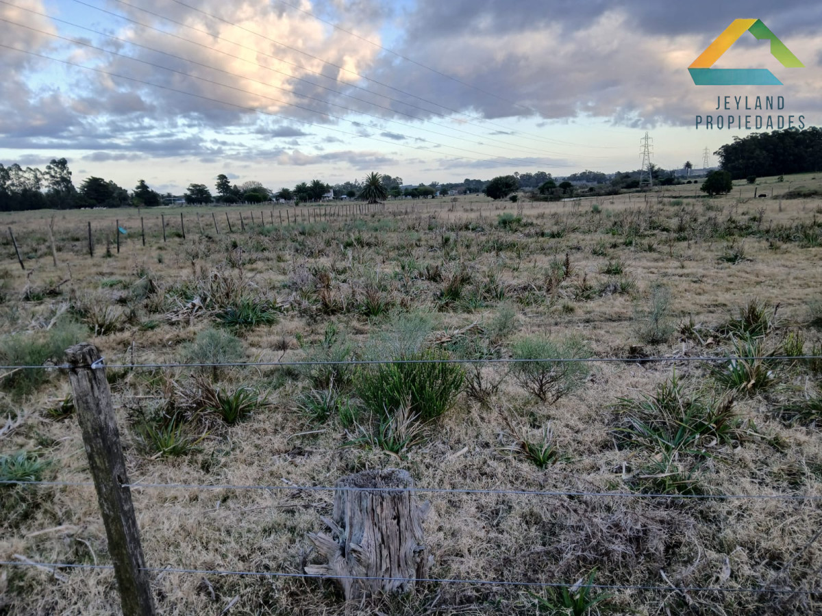 Chacra ID.187 - SE VENDE CHACRA DE 6,5 HECTAREAS CON CASA 