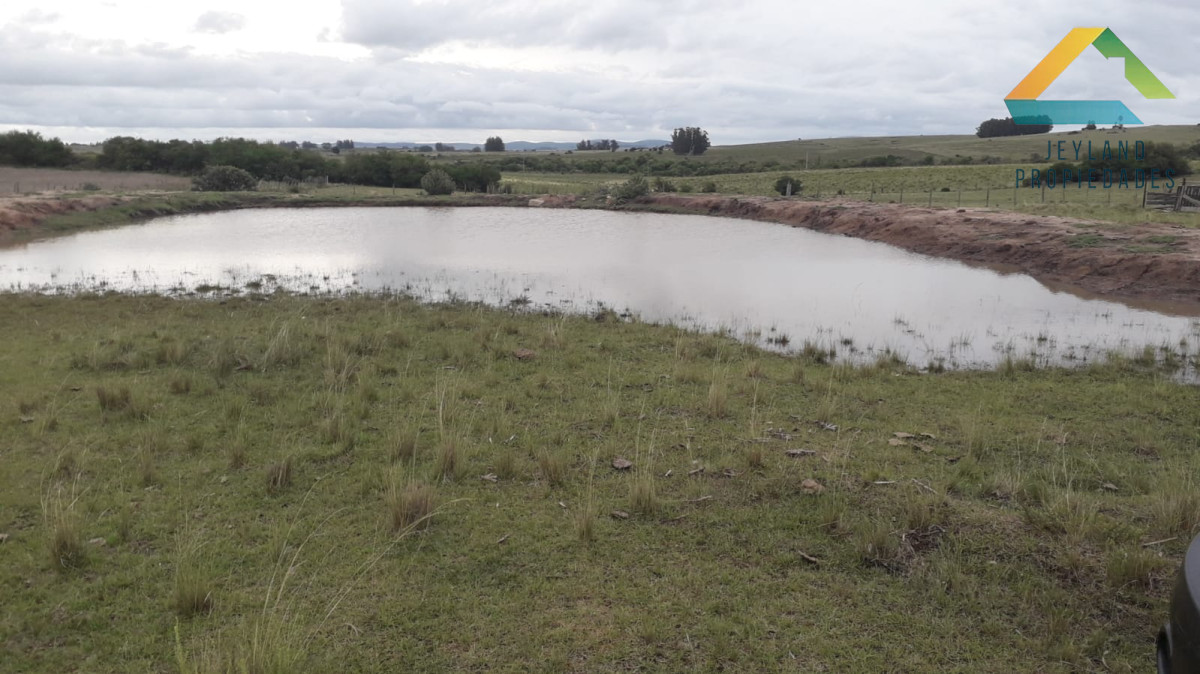 Chacra ID.107 - SE VENDE CASA DE CAMPO DE 10 HECTAREAS 