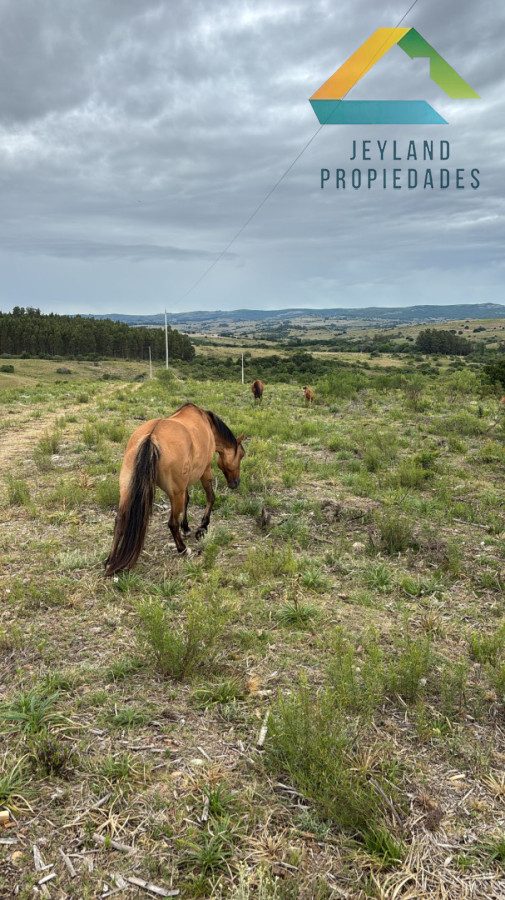 Chacra ID.548 - SE VENDE O PERMUTA CHACRA EN PUEBLO EDEN 