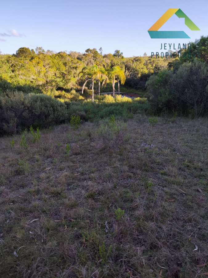 Chacra ID.218 - SE VENDE CHACRA DE CASI 7 HECTAREAS EN LAS CAÑAS 