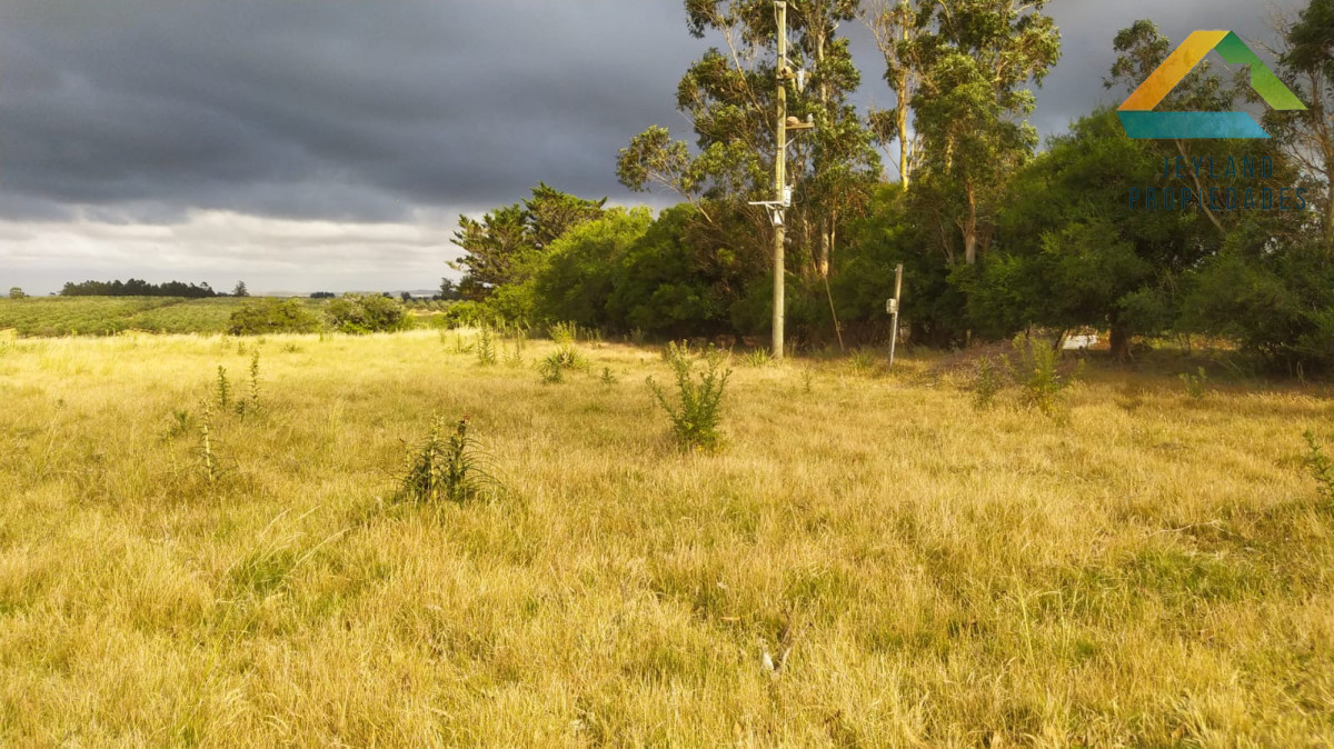 Chacra ID.329 - SE VENDE CHACRA ENTORNO A CAÑADA BELLACA 
