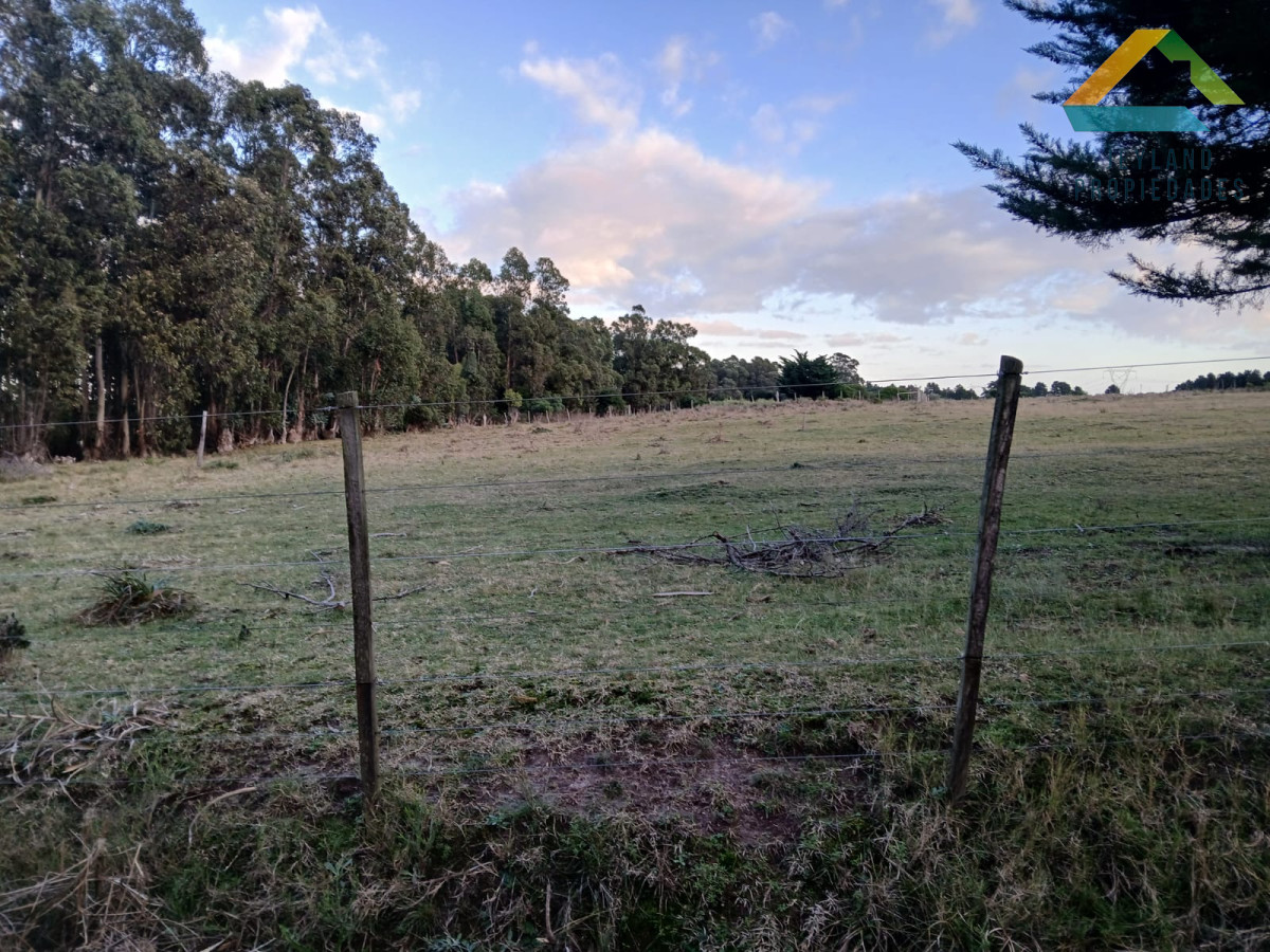 Chacra ID.187 - SE VENDE CHACRA DE 6,5 HECTAREAS CON CASA 