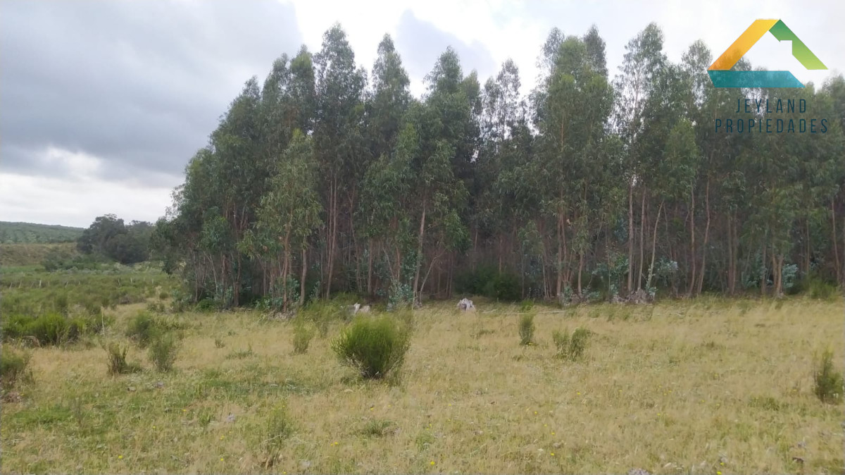 Chacra ID.329 - SE VENDE CHACRA ENTORNO A CAÑADA BELLACA 