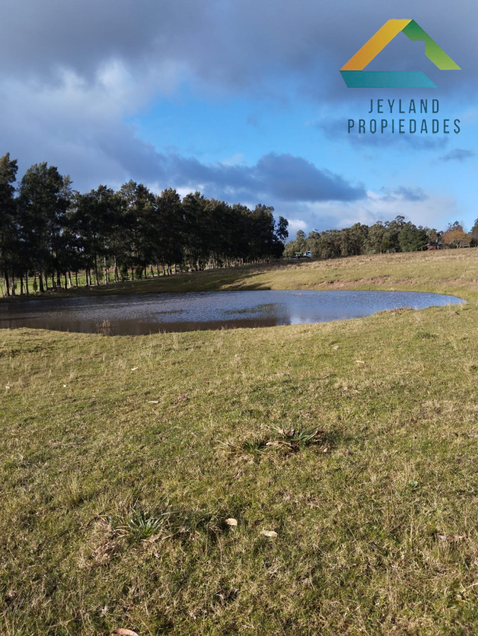 Chacra ID.309 - CHACRA EN SAN CARLOS RUTA 39