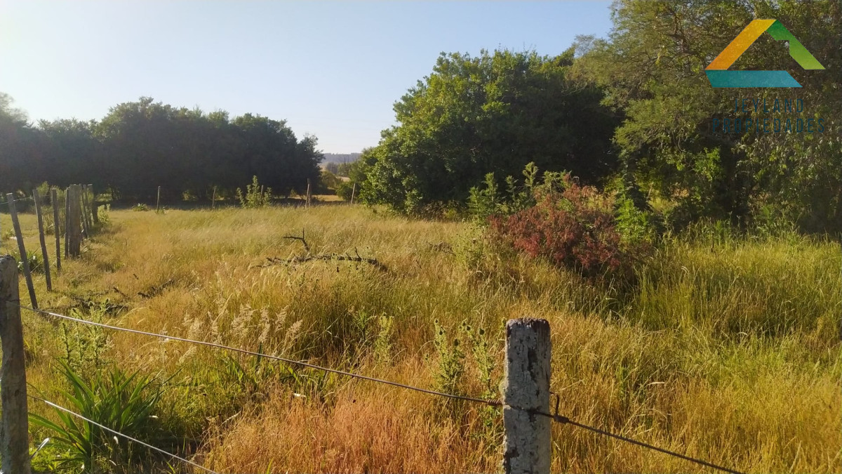 Chacra ID.321 - SE VENDE CHACRA DE 14 Hs. RUTA 39