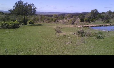 SE VENDE CHACRA DE CASI 7 HECTAREAS EN LAS CAÑAS