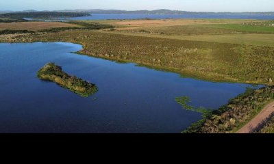 SE VENDE CHACRA 5 HECTAREAS EN COMPLEJO PRIVADO LAGUNA DEL SAUCE