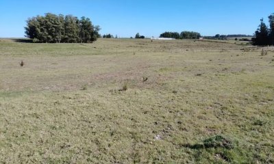 SE VENDE  CHACRA DE 5H A PASOS DE SAN CARLOS