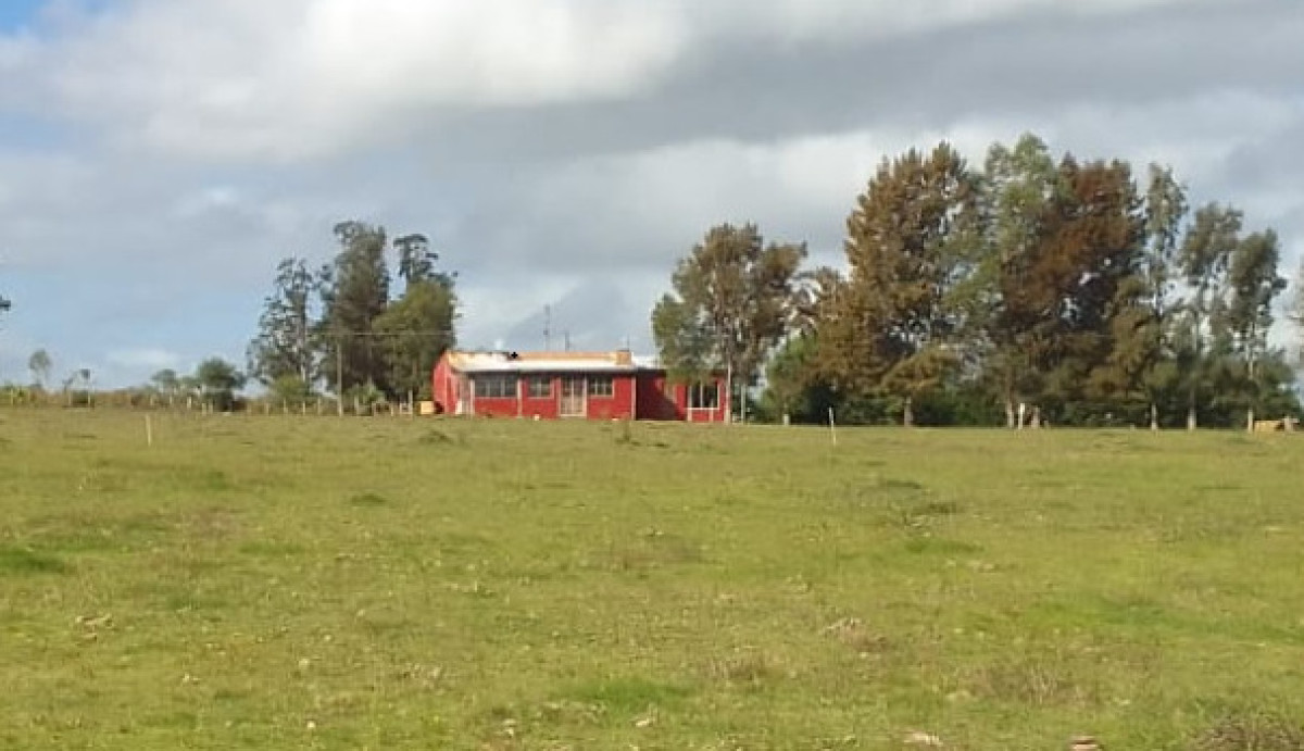 SE VENDE CHCRA ZONA RURAL SAN CARLOS RUTA 39