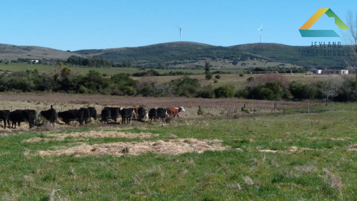 Campo Ref.365 - SE VENDE CAMPO DE 30Ha EN PARTIDO NORTE 