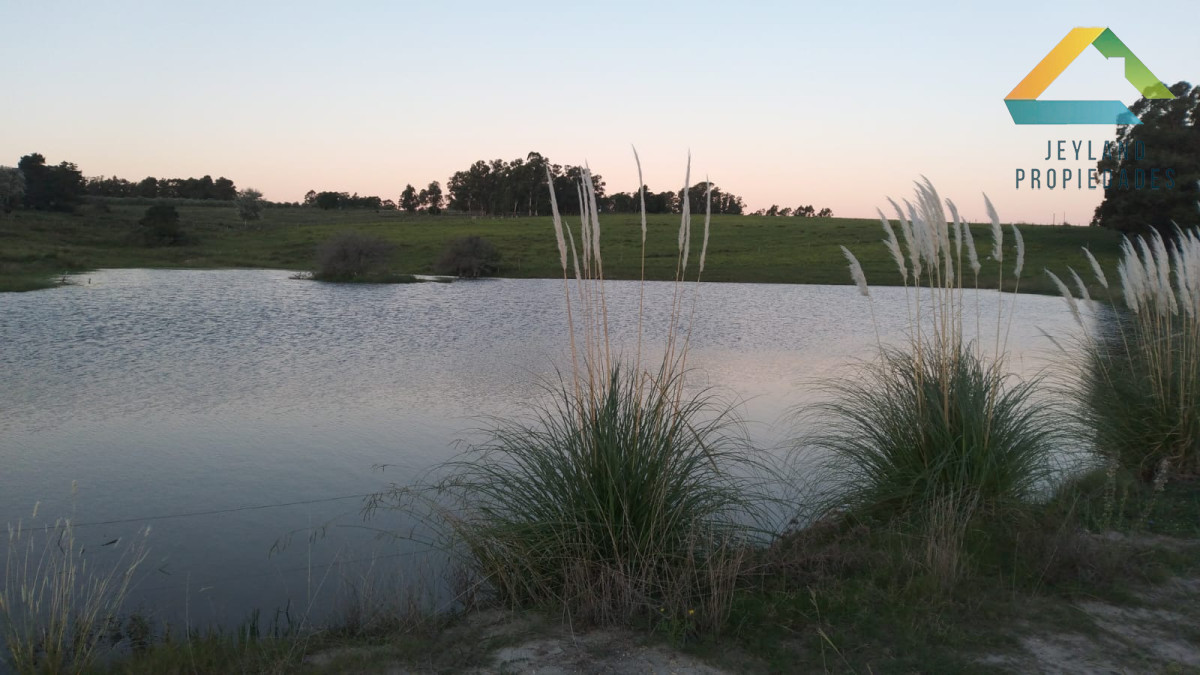 Campo Ref.365 - SE VENDE CAMPO DE 30Ha EN PARTIDO NORTE 