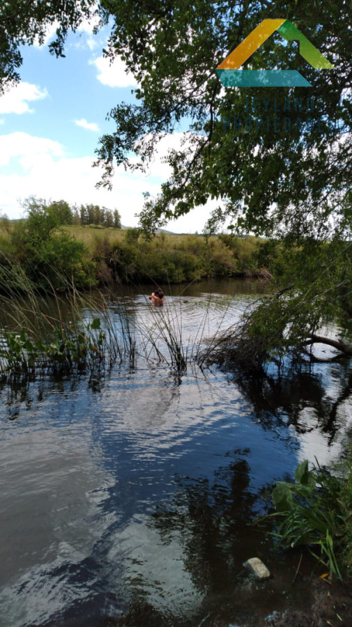 Campo Ref.365 - SE VENDE CAMPO DE 30Ha EN PARTIDO NORTE 