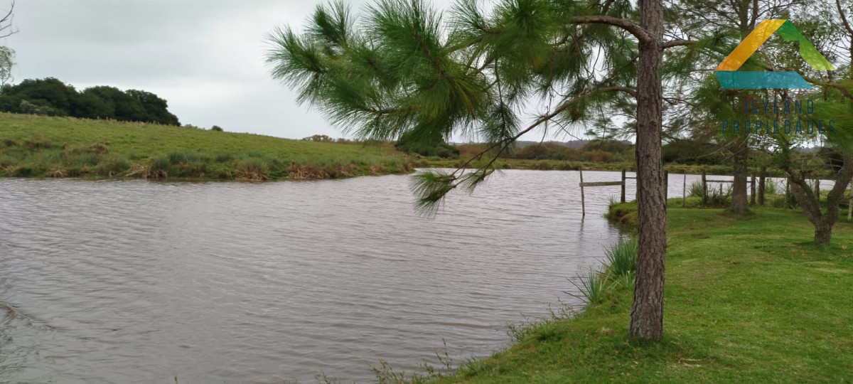Campo Ref.148 - SE VENDE CAMPO DE 30 HECTAREAS CON CASA EN ZONA DE GARZON  