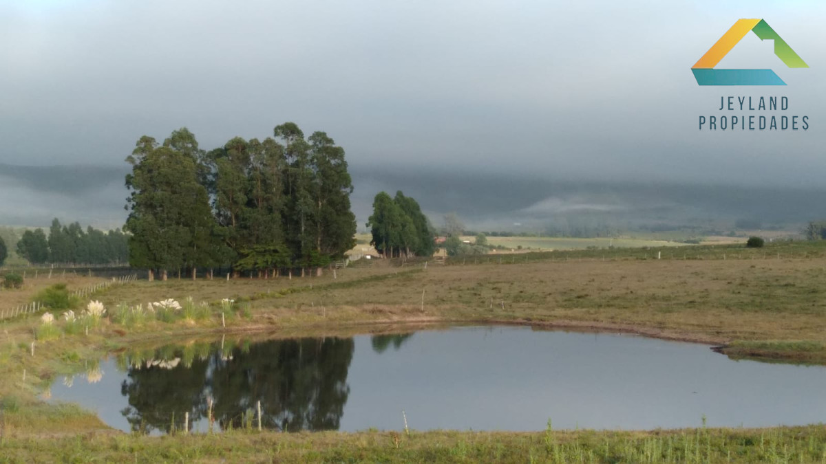 Campo Ref.365 - SE VENDE CAMPO DE 30Ha EN PARTIDO NORTE 