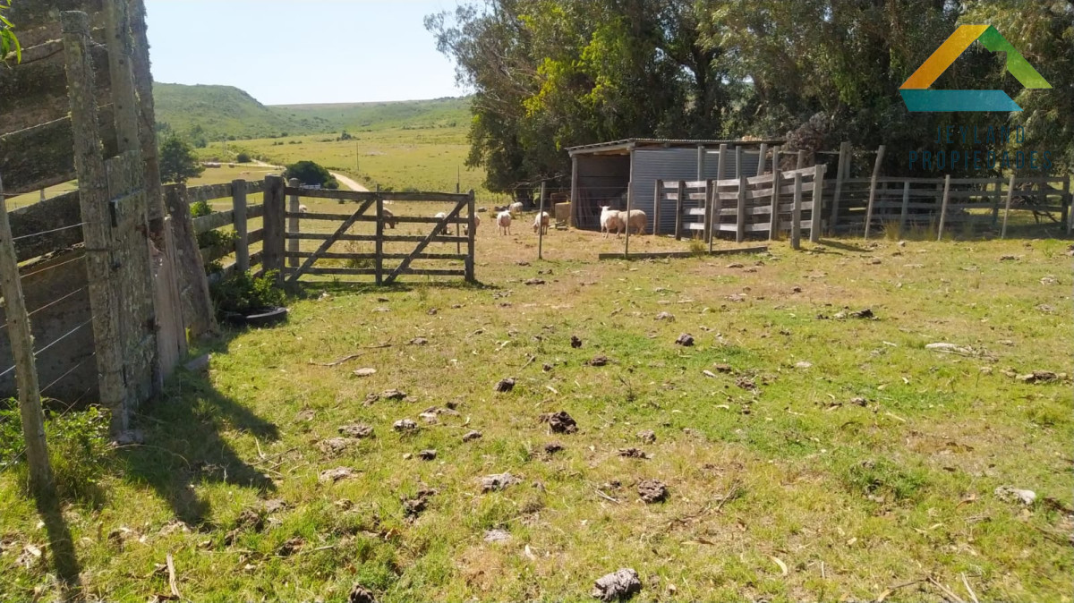 Campo Ref.371 - Campo en Paraje Las Cañas