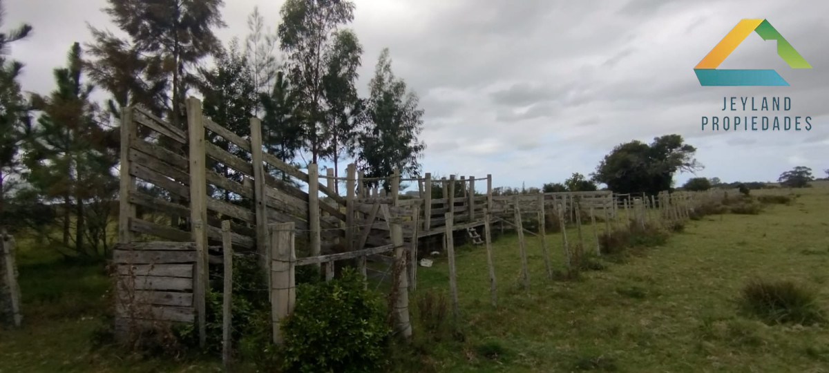 Campo Ref.148 - SE VENDE CAMPO DE 30 HECTAREAS CON CASA EN ZONA DE GARZON  