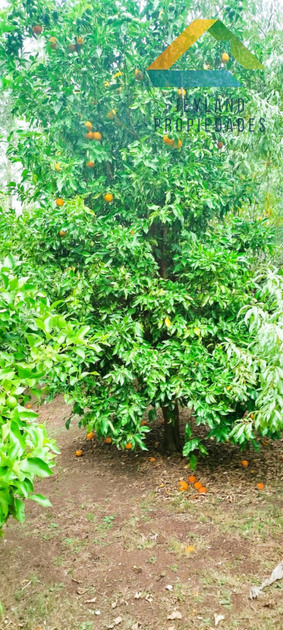 Campo Ref.148 - SE VENDE CAMPO DE 30 HECTAREAS CON CASA EN ZONA DE GARZON  