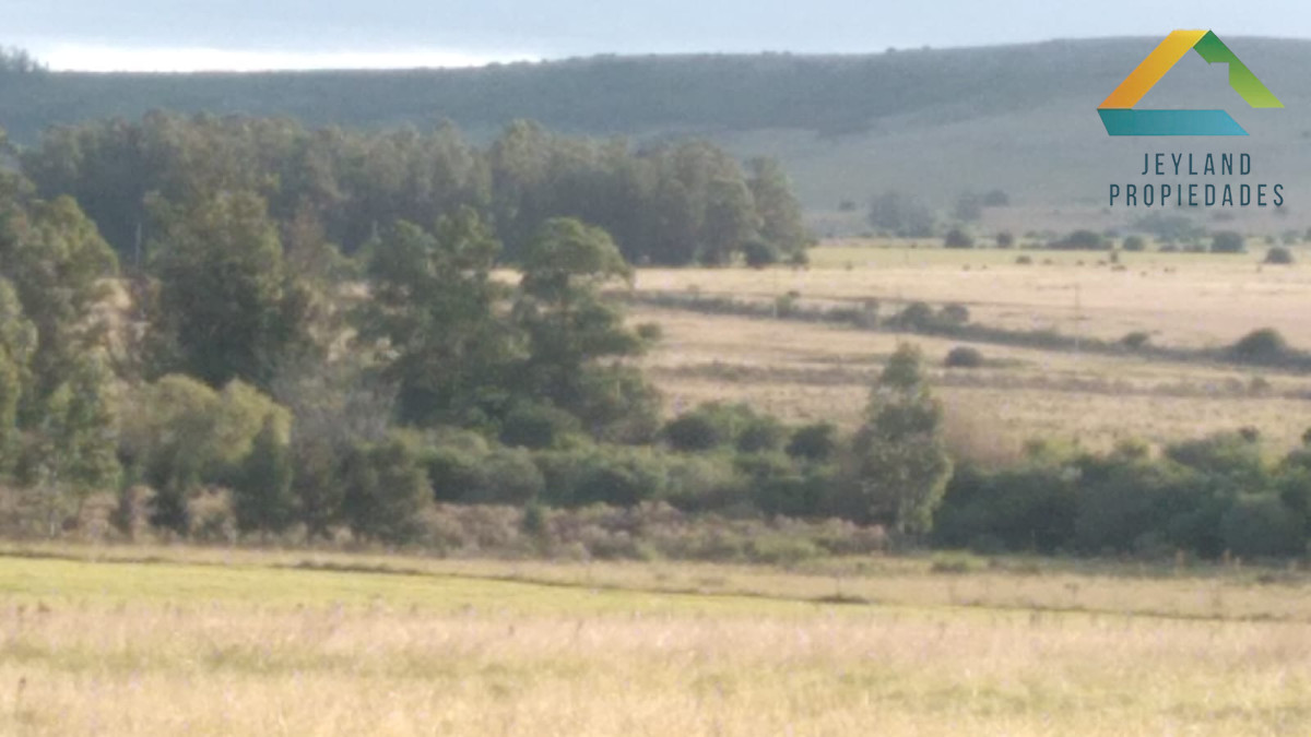 Campo Ref.365 - SE VENDE CAMPO DE 30Ha EN PARTIDO NORTE 