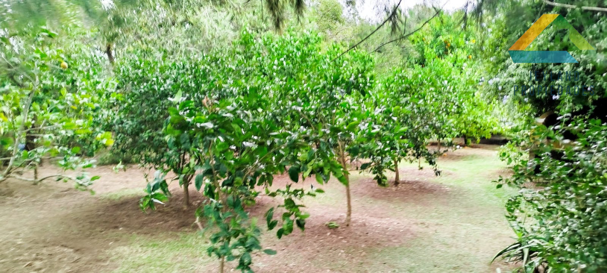 Campo Ref.148 - SE VENDE CAMPO DE 30 HECTAREAS CON CASA EN ZONA DE GARZON  