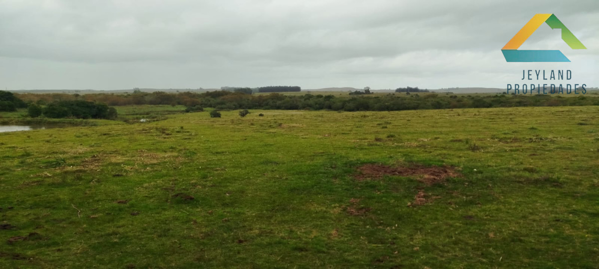 Campo Ref.148 - SE VENDE CAMPO DE 30 HECTAREAS CON CASA EN ZONA DE GARZON  