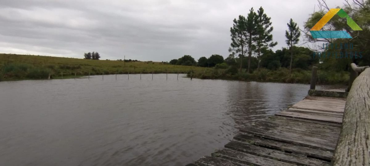 Campo Ref.148 - SE VENDE CAMPO DE 30 HECTAREAS CON CASA EN ZONA DE GARZON  