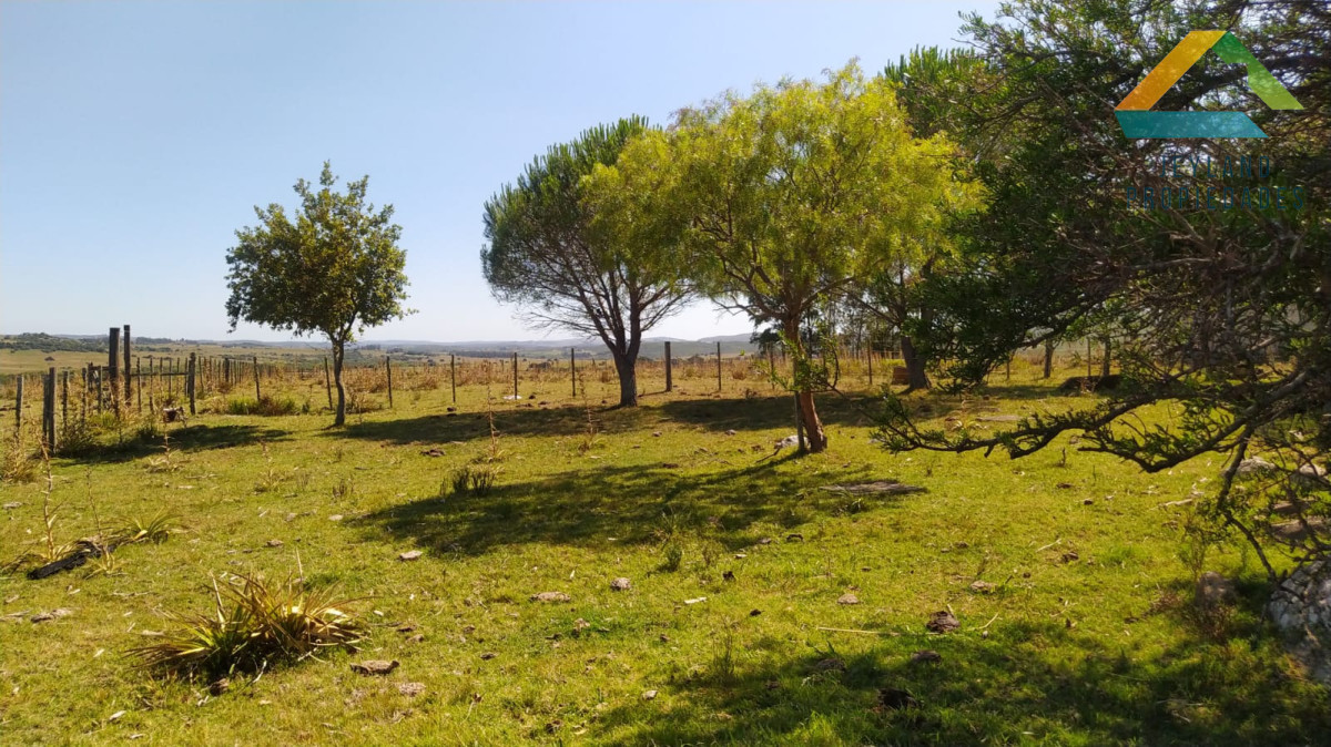 Campo Ref.371 - Campo en Paraje Las Cañas