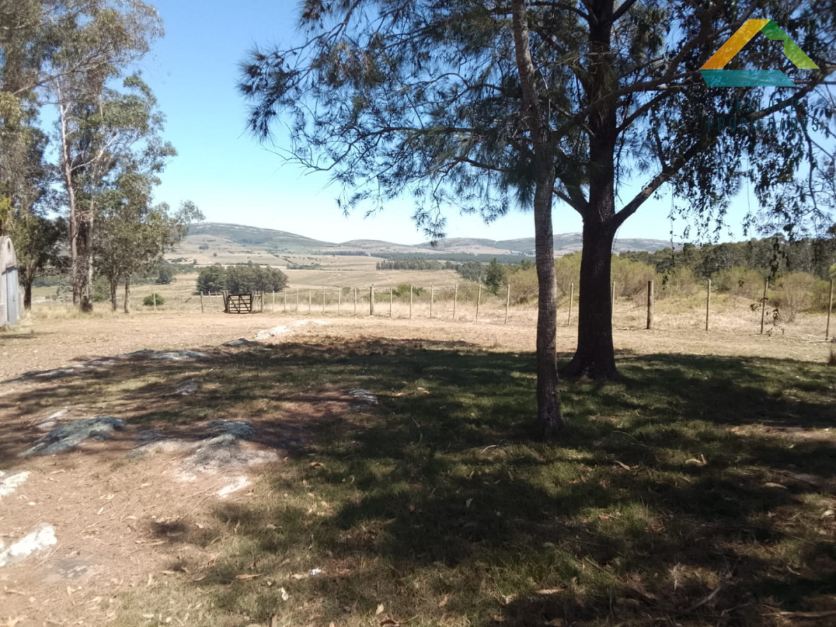 Campo Ref.371 - Campo en Paraje Las Cañas