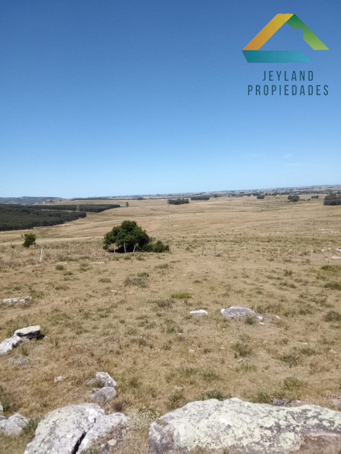 Campo Ref.336 - SE VENDE CAMPO 109 HECTAREAS EN SAN CARLOS 