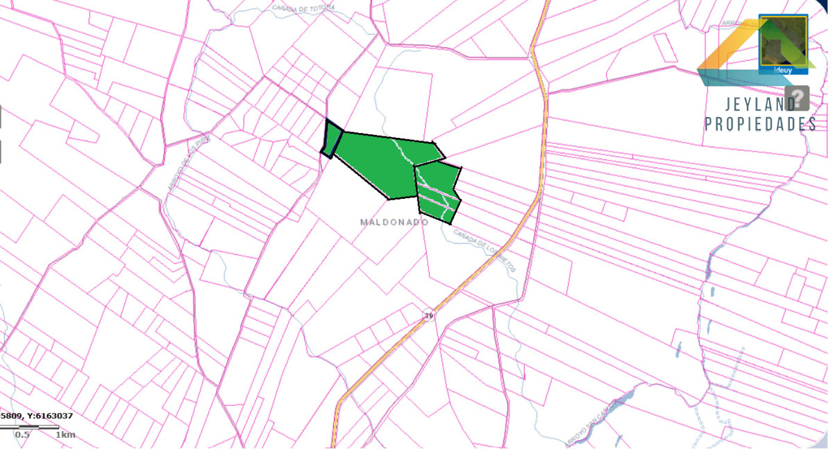 Campo Ref.336 - SE VENDE CAMPO 109 HECTAREAS EN SAN CARLOS 