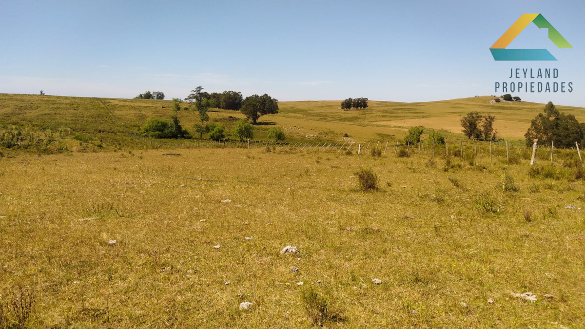 Campo Ref.318 - SE VENDE CAMPO EN PRIMERA LINEA RUTA 9 