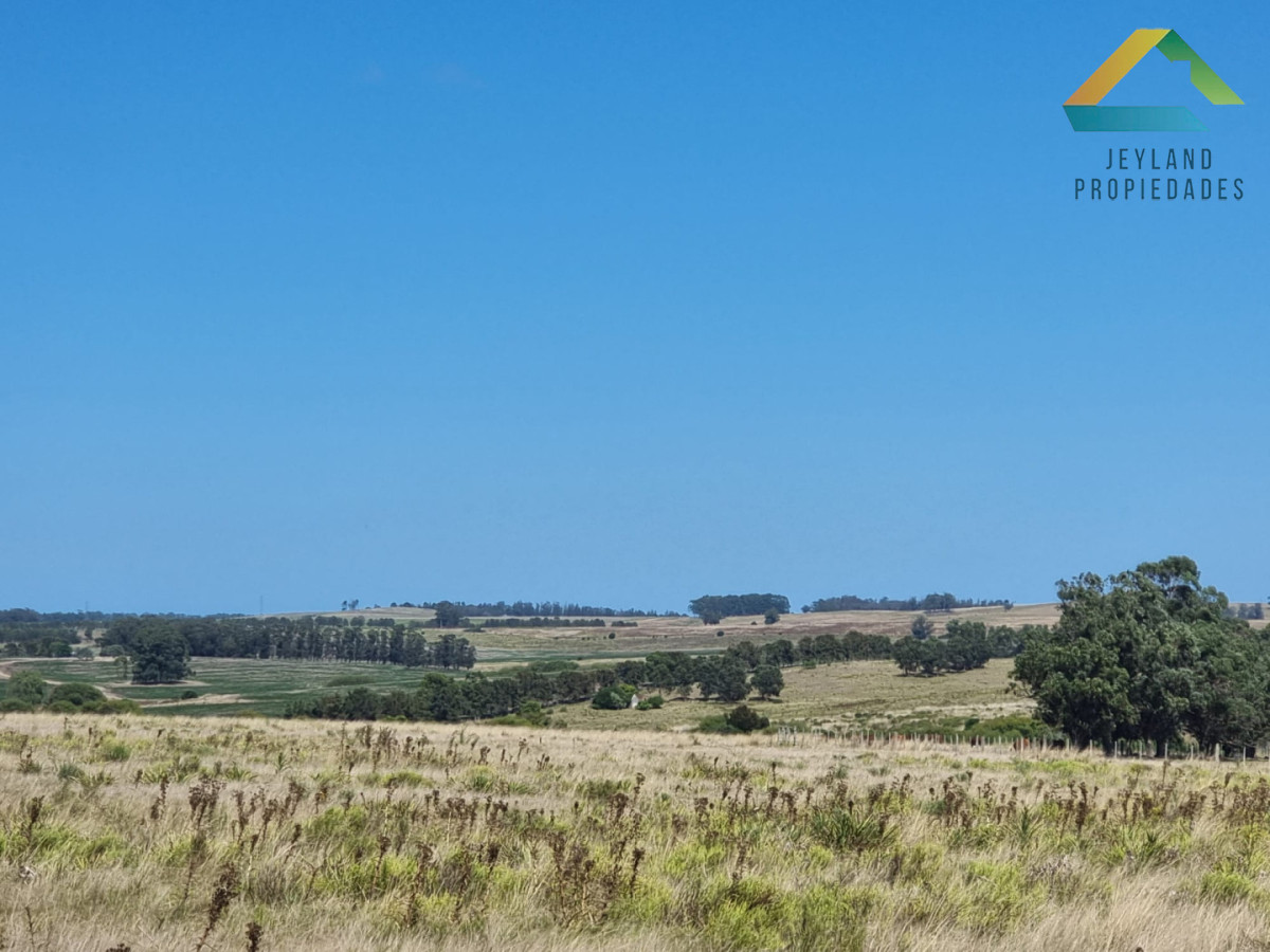 Campo Ref.403 - Campo en Venta - 101 Hectáreas en José Ignacio