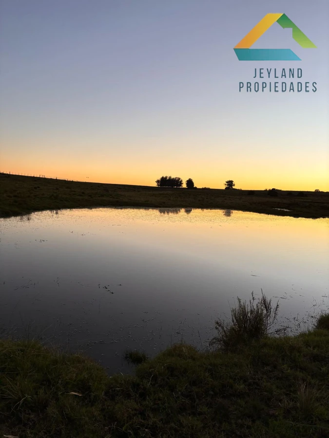 Campo Ref.137 - SE VENDE CAMPO 21 HECTAREAS JOSE IGNACIO