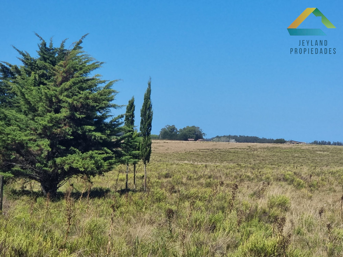 Campo Ref.403 - Campo en Venta - 101 Hectáreas en José Ignacio