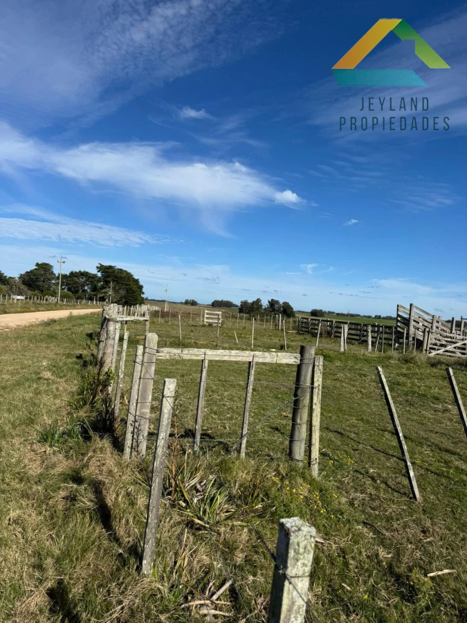Campo Ref.137 - SE VENDE CAMPO 21 HECTAREAS JOSE IGNACIO