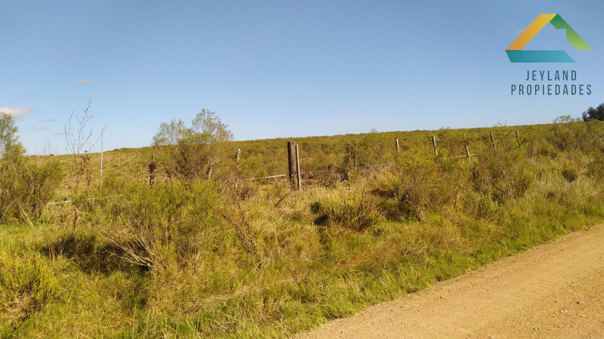 Campo Ref.404 - SE VENDE CAMPO DE 66 Ha CORTE DE LA LEÑA 