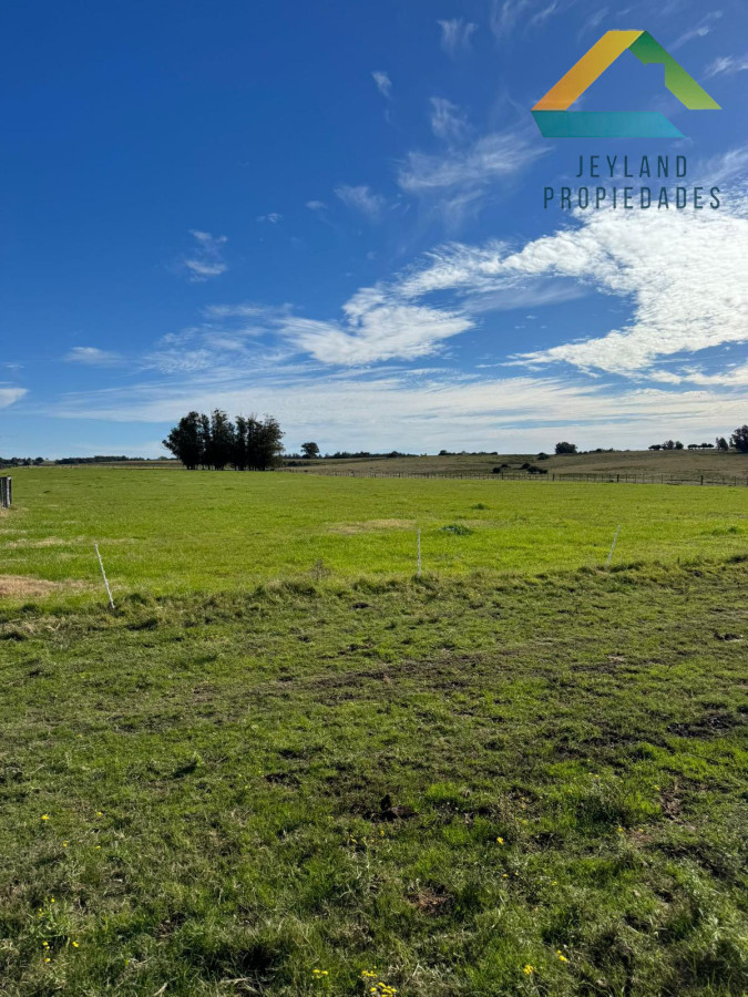 Campo Ref.137 - SE VENDE CAMPO 21 HECTAREAS JOSE IGNACIO