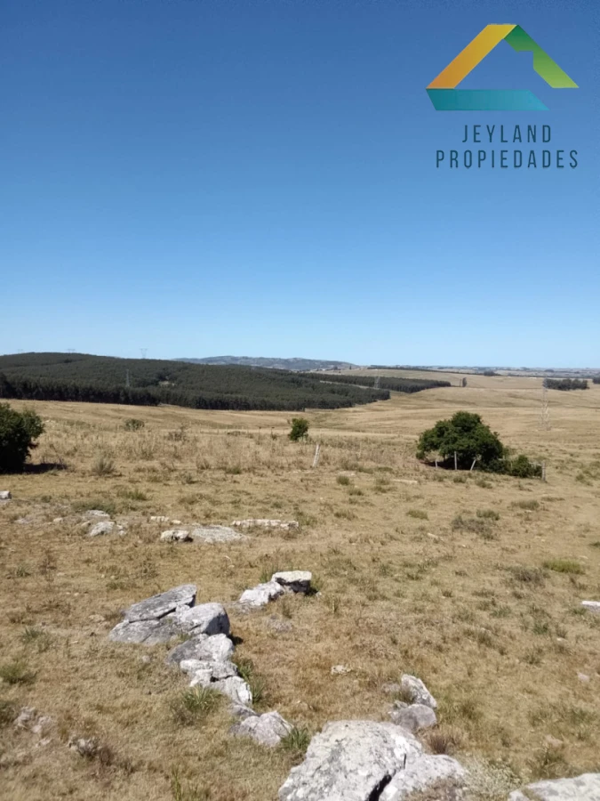 Campo Ref.336 - SE VENDE CAMPO 109 HECTAREAS EN SAN CARLOS 