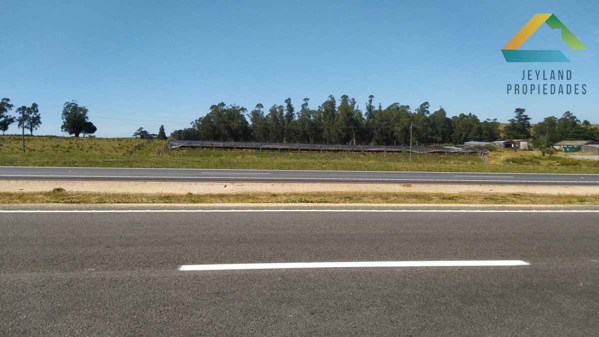 Campo Ref.318 - SE VENDE CAMPO EN PRIMERA LINEA RUTA 9 