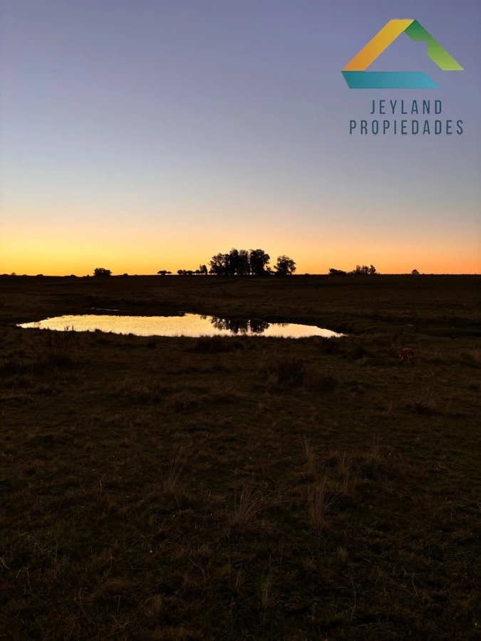 Campo Ref.137 - SE VENDE CAMPO 21 HECTAREAS JOSE IGNACIO