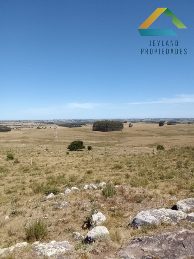 Campo Ref.336 - SE VENDE CAMPO 109 HECTAREAS EN SAN CARLOS 
