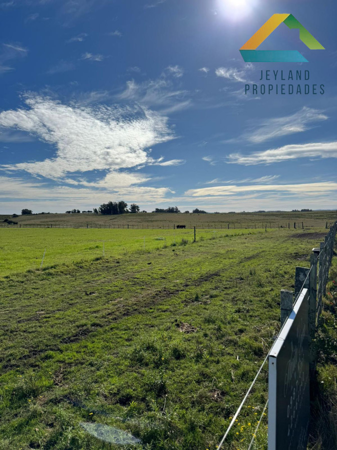 Campo Ref.137 - SE VENDE CAMPO 21 HECTAREAS JOSE IGNACIO