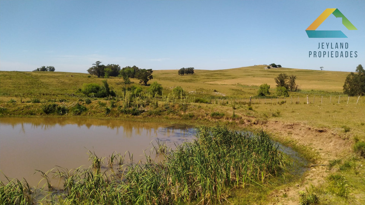 Campo Ref.318 - SE VENDE CAMPO EN PRIMERA LINEA RUTA 9 